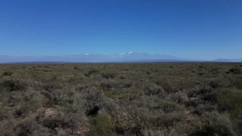 Mendoza Desert 動画素材 297372197