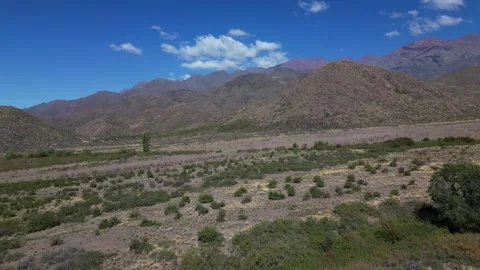 Mendoza Desert Видео 297373531