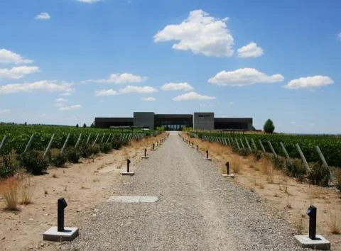 Mendoza vineyard Stock Photos