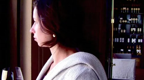 MendozaWine Stock Footage 646527