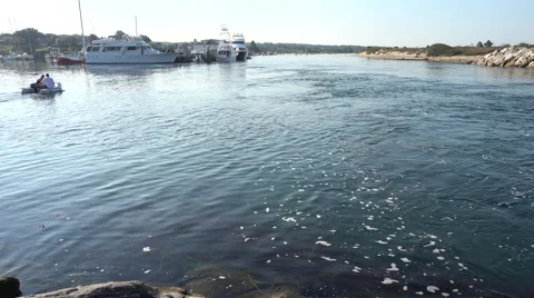Menemsha Harbor Stock Footage 54204764