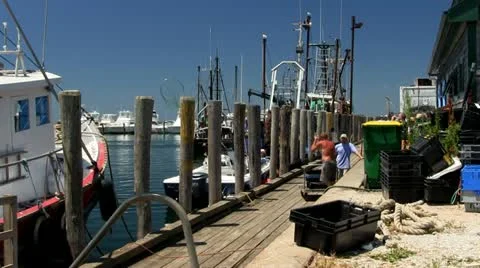 Menemsha Harbor Martha's Vineyard; 7 Stock Footage 12278676