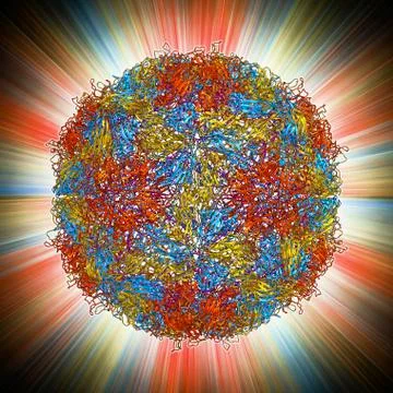 Mengovirus capsid, molecular model Stock Illustration