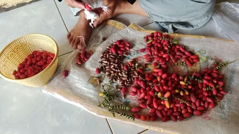 Meninjo fruit is a fruit native to southeast asia, including Indonesia Stock Footage 321379018