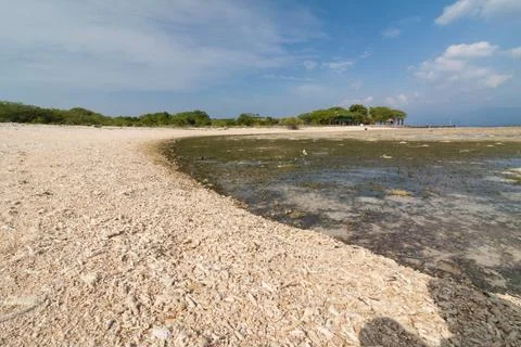 MENJANGAN BEACH Stock Photos