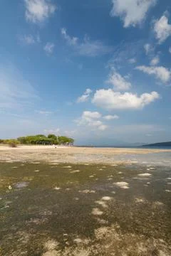 MENJANGAN BEACH Stock Photos