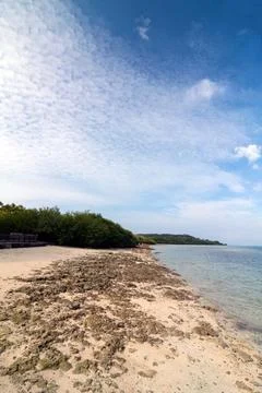 MENJANGAN BEACH Stock Photos
