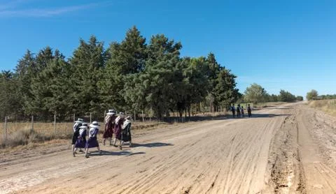 Mennonite children go to school on rural roads Stock Photos