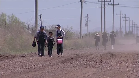 Mennonite children going to school Stock Footage 101021067