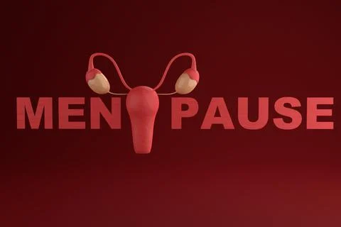 Menopause written word on red background. Female internal organ. women's heal Stock Illustration