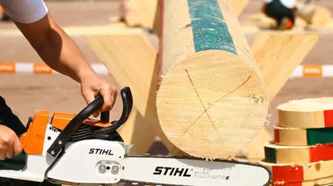 Men's chainsaw log cutting Stock Footage 24985361