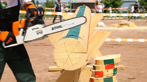 Men's chainsaw log cutting Stock Footage 24985606