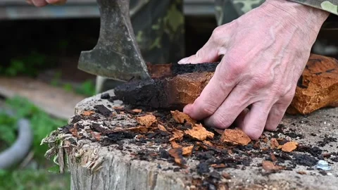 Men's hands with an axe clean chaga mushroom birch fungus in the fresh air Stock Footage 134620407