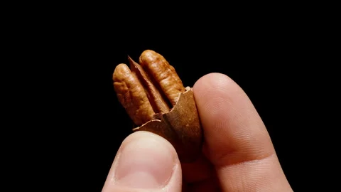 Men's hands crack the shell of a pecan into two parts and examine the nut inside 스톡 동영상 267168609