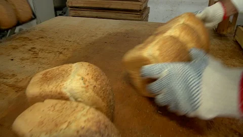 Men's hands spread baked bread from molds Stock Footage 99614947