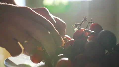 Men's hands tear the grape off a bunch. grapes in the sunlight, close up Stock Footage 104019210