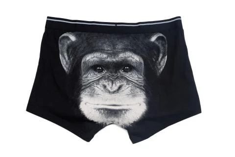 Men's pants with a pattern muzzle monkeys 库存照片