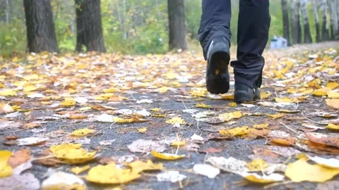 Men's shoes walking on autumn leaves Stock Footage