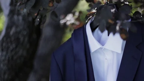 Men's suit hanging from a tree amidst dark green leaves and swaying in the wind. Stock Footage