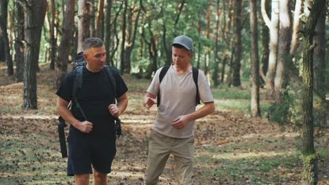 Mens walking, Casual pine forest conversation, Gentle hike with friends in woods Stock Footage 323492615