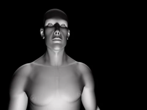 Menschclean10 Stock Footage 7905755