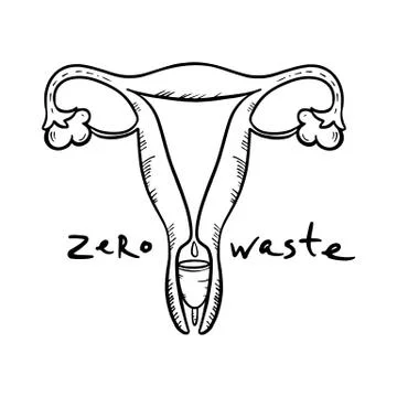 MENSTRUAL CUP Zero Waste Hand Drawn Vector Illustration Set Stock Illustration