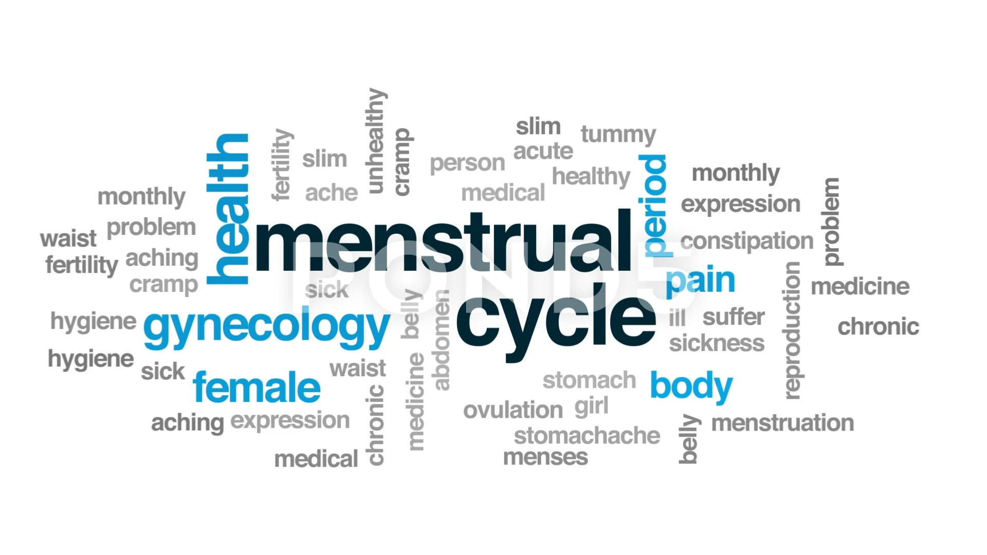 Ovulation And Menstrual Cycle Animation