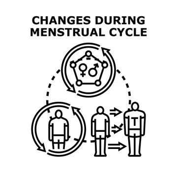 Menstrual cycle changes concept with body transformation Stock-Illustration