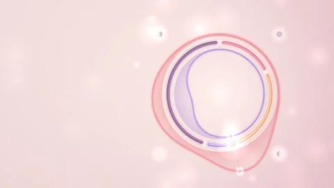 Menstrual Cycle Hormone Waves Ring Infographic Seamless Loop 库存影片 347567652