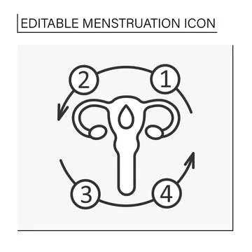 Menstrual cycle line icon Stock Illustration