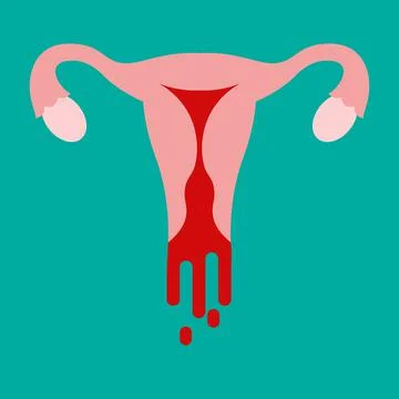 Menstrual cycle. monthly Illustrazione stock