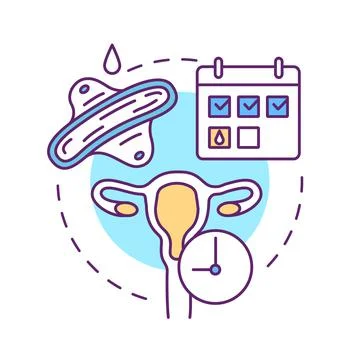 Menstrual cycle phase concept icon for light theme Stock Illustration