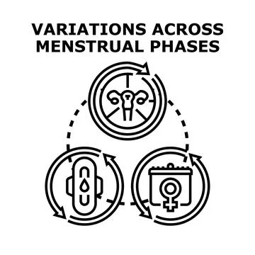 Menstrual phases variations concept vector illustration female health Stock Illustration