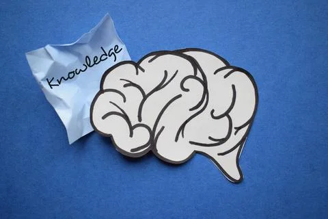 Mental Knowledge Concept with Brain Illustration and Crumpled Paper Note Stock Photos