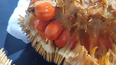 Mentawa fruit is a rare fruit native to West Kalimantan, Indonesia. Stock Footage 339645602