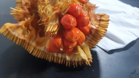 Mentawa fruit is a rare fruit native to West Kalimantan, Indonesia. Stock Footage 339645680