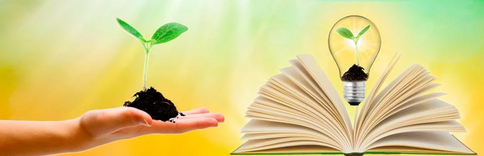 Mentor concept. knowledge and support of the mentor give a fool of the future Stock Photos