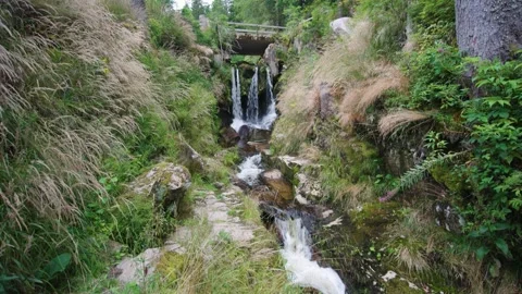 Menzenschwander waterfall with bridge in Black Forest Germany Schwarzwald Video stock 331459923