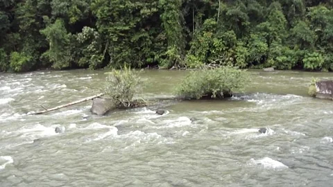 Merangin river Stock Footage 235963098