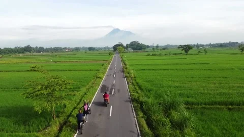 Merapi mt with Rice field green grass, symmetry road and mountain view Stock Footage 146370059