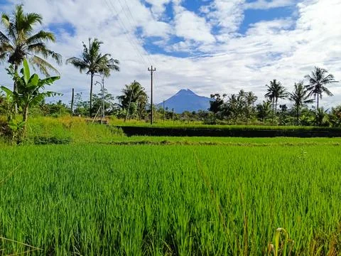 Merapi view Stock Photos