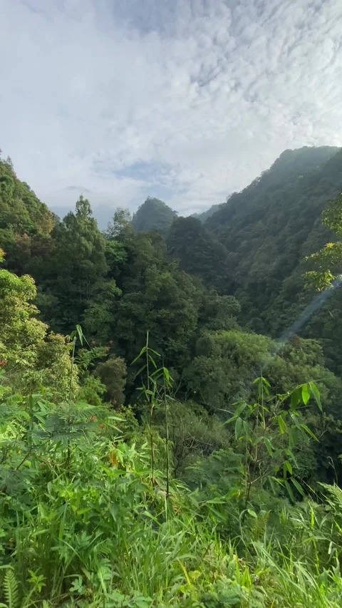 Merapi Volcano mountain in the morning with forest and hills Stockbeeldmateriaal 347541503