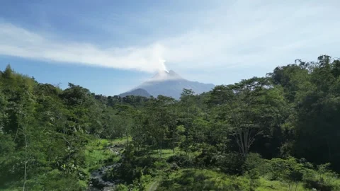 Merapi Volcano mountainside in the morning with forest and sandy river. 4k Vídeos de archivo 247333336