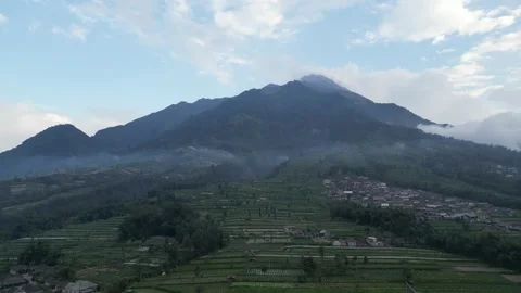 Merapi Volcano mountainside in the morning with vegetable garden Video stock 247351931