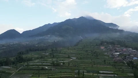 Merapi Volcano mountainside in the morning with vegetable garden Video stock 247352257