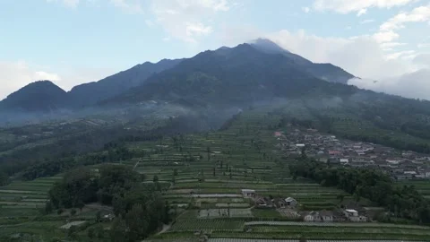 Merapi Volcano mountainside in the morning with vegetable garden Video stock 247352267