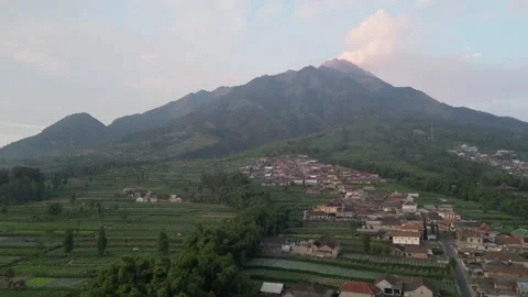 Merapi Volcano mountainside in the morning with vegetable garden Video stock 247352999