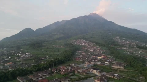 Merapi Volcano mountainside in the morning with vegetable garden Video stock 247353104