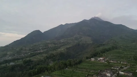 Merapi Volcano mountainside in the morning with vegetable garden Video stock 247353121