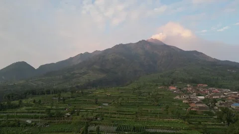Merapi Volcano mountainside in the morning with vegetable garden Video stock 247353425